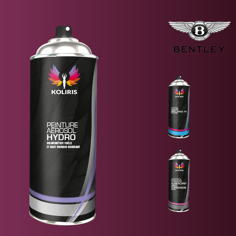 Pack 3 aérosols peinture voiture hydro Bentley
