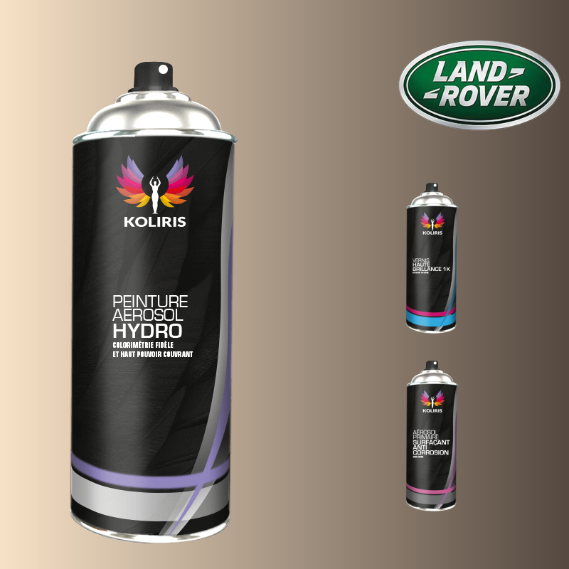 Pack 3 aérosols peinture voiture hydro Landrover 400ml