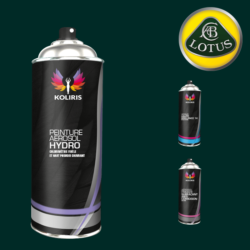 Pack 3 aérosols peinture voiture hydro Lotus