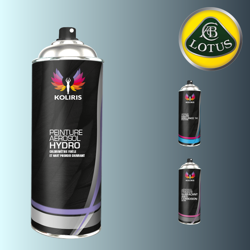 Pack 3 aérosols peinture voiture hydro Lotus