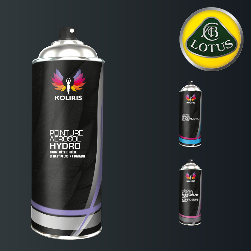 Pack 3 aérosols peinture voiture hydro Lotus