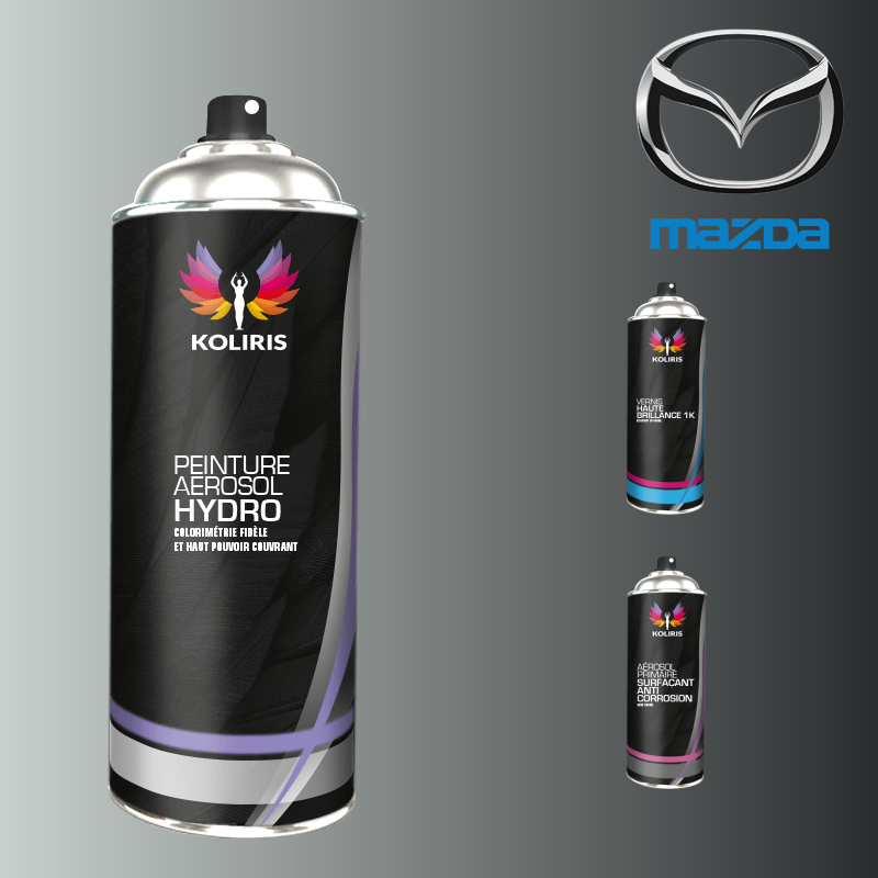 Pack 3 aérosols peinture voiture hydro Mazda