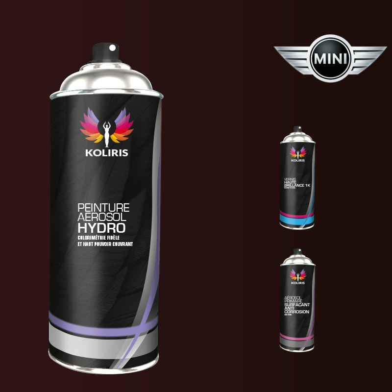 Pack 3 aérosols peinture voiture hydro Mini