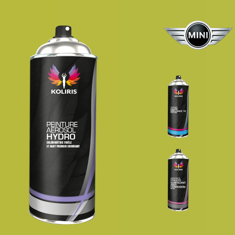 Pack 3 aérosols peinture voiture hydro Mini