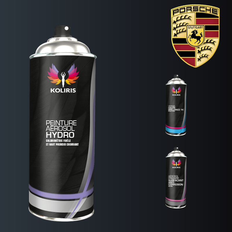 Pack 3 aérosols peinture voiture hydro Porsche en vente - Carenciel