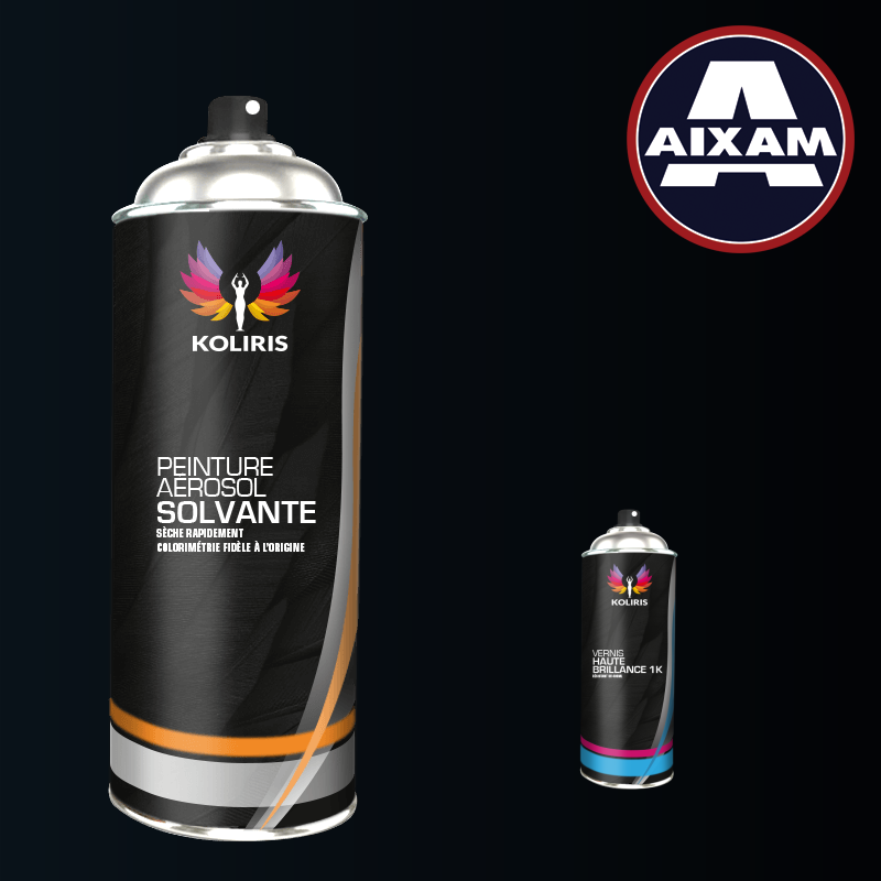 Pack 2 aérosols peinture voiture solvant Aixam