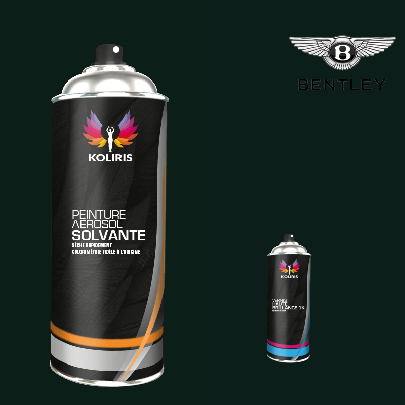 Pack 2 aérosols peinture voiture solvant Bentley 400ml