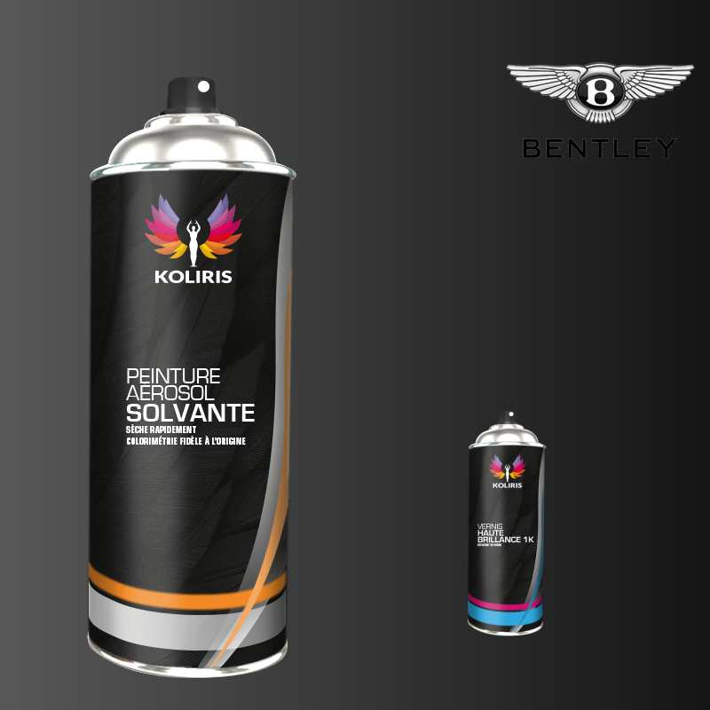 Pack 2 aérosols peinture voiture solvant Bentley 400ml