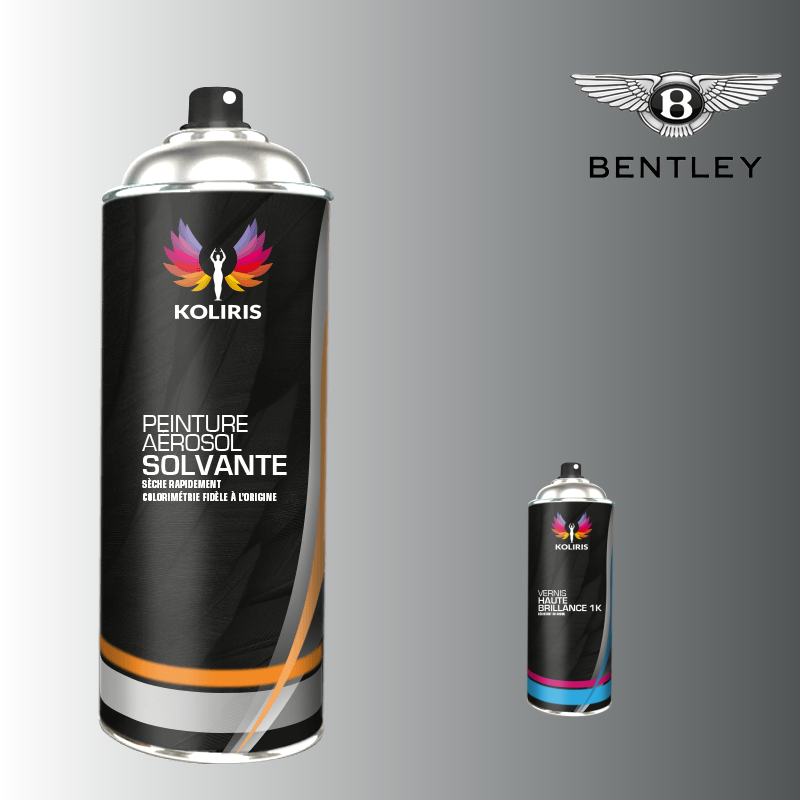 Pack 2 aérosols peinture voiture solvant Bentley 400ml