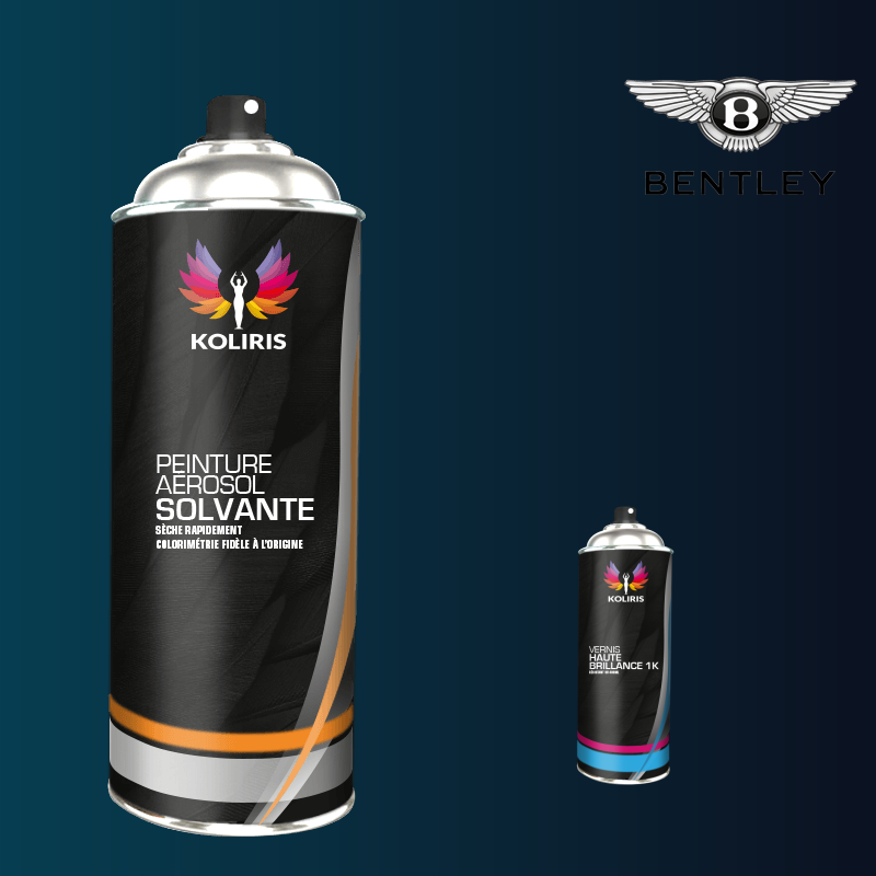 Pack 2 aérosols peinture voiture solvant Bentley 400ml