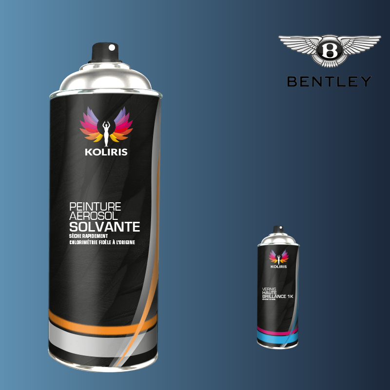 Pack 2 aérosols peinture voiture solvant Bentley 400ml