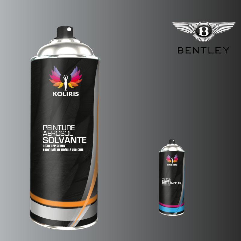 Pack 2 aérosols peinture voiture solvant Bentley 400ml