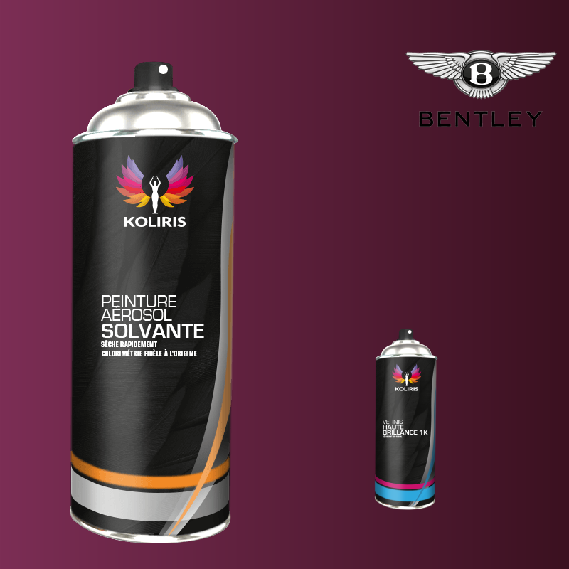 Pack 2 aérosols peinture voiture solvant Bentley 400ml