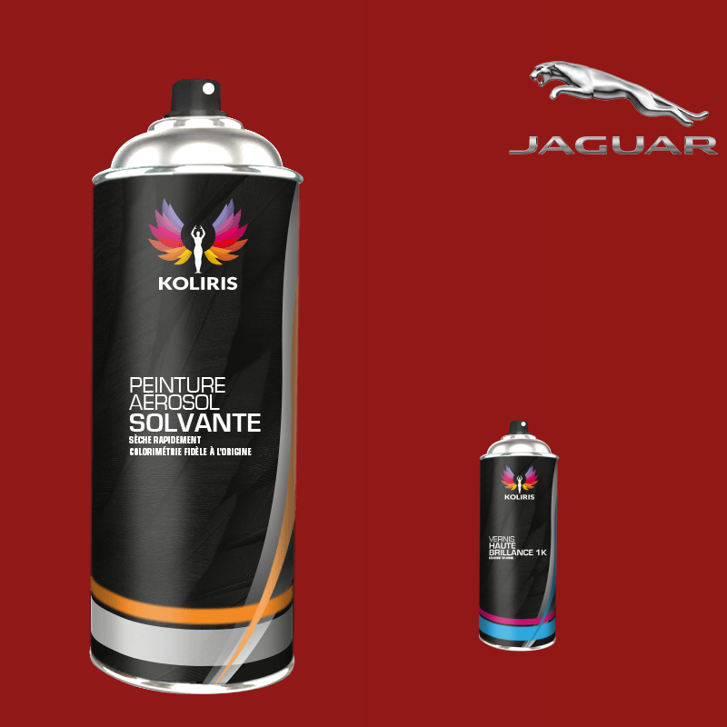Pack 2 aérosols peinture voiture solvant Jaguar - Carenciel.pro