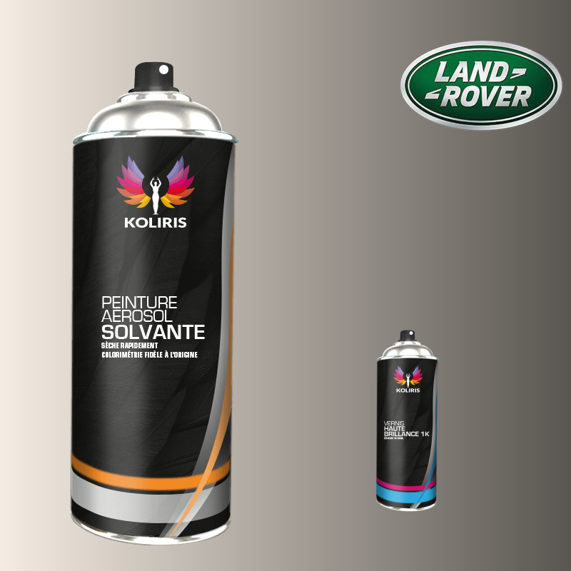 Pack 2 aérosols peinture voiture solvant Landrover 400ml