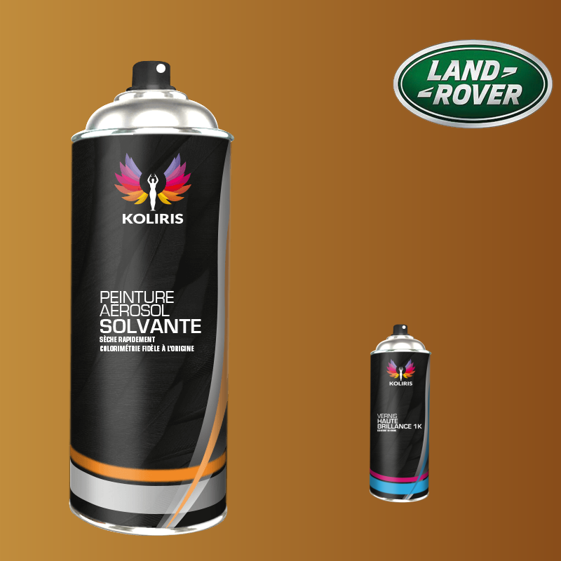 Pack 2 aérosols peinture voiture solvant Landrover 400ml
