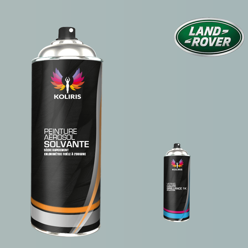 Pack 2 aérosols peinture voiture solvant Landrover 400ml