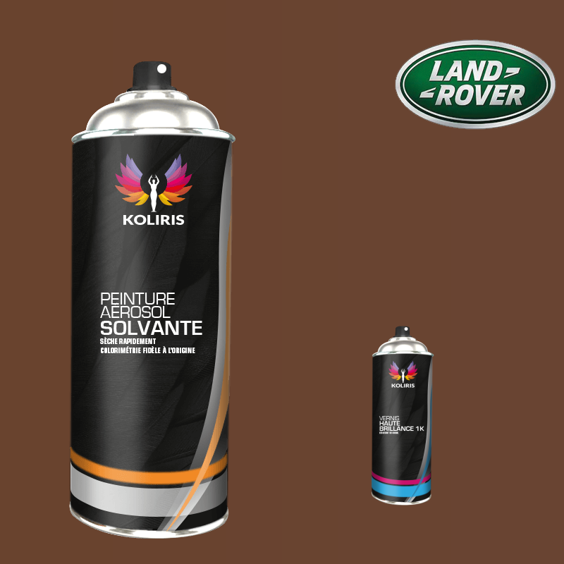 Pack 2 aérosols peinture voiture solvant Landrover 400ml