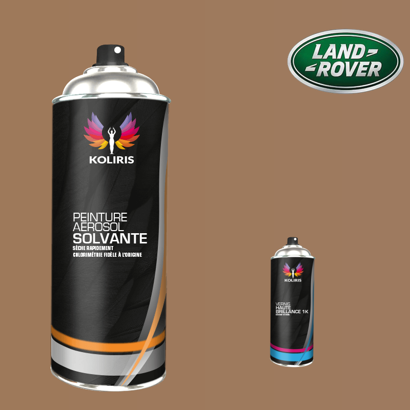Pack 2 aérosols peinture voiture solvant Landrover 400ml
