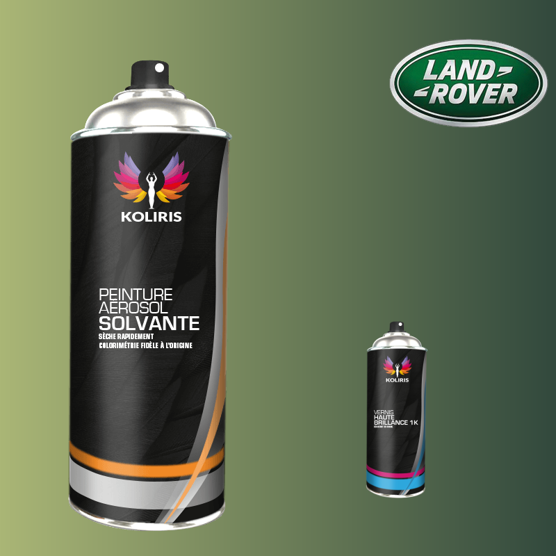 Pack 2 aérosols peinture voiture solvant Landrover 400ml