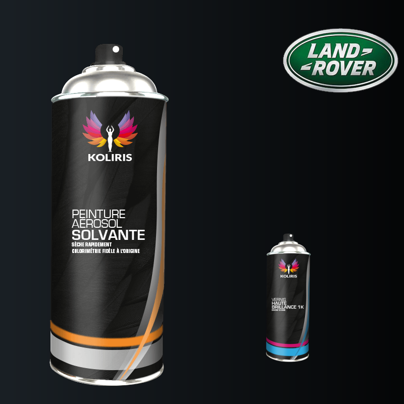Pack 2 aérosols peinture voiture solvant Landrover 400ml