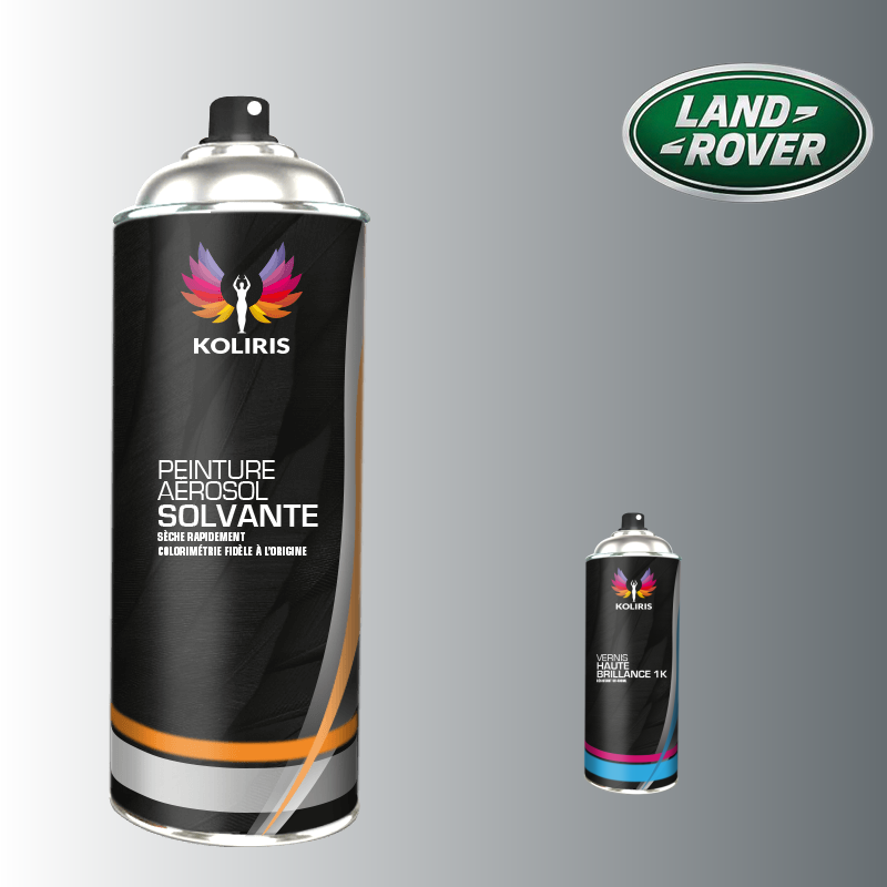 Pack 2 aérosols peinture voiture solvant Landrover 400ml