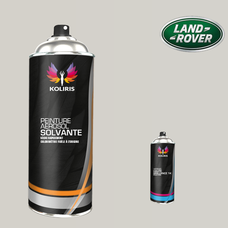Pack 2 aérosols peinture voiture solvant Landrover 400ml