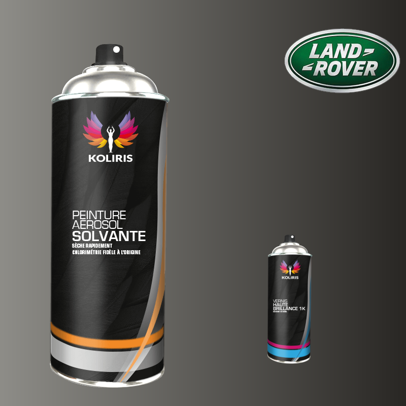 Pack 2 aérosols peinture voiture solvant Landrover 400ml