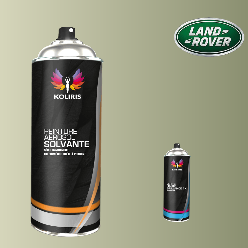 Pack 2 aérosols peinture voiture solvant Landrover 400ml