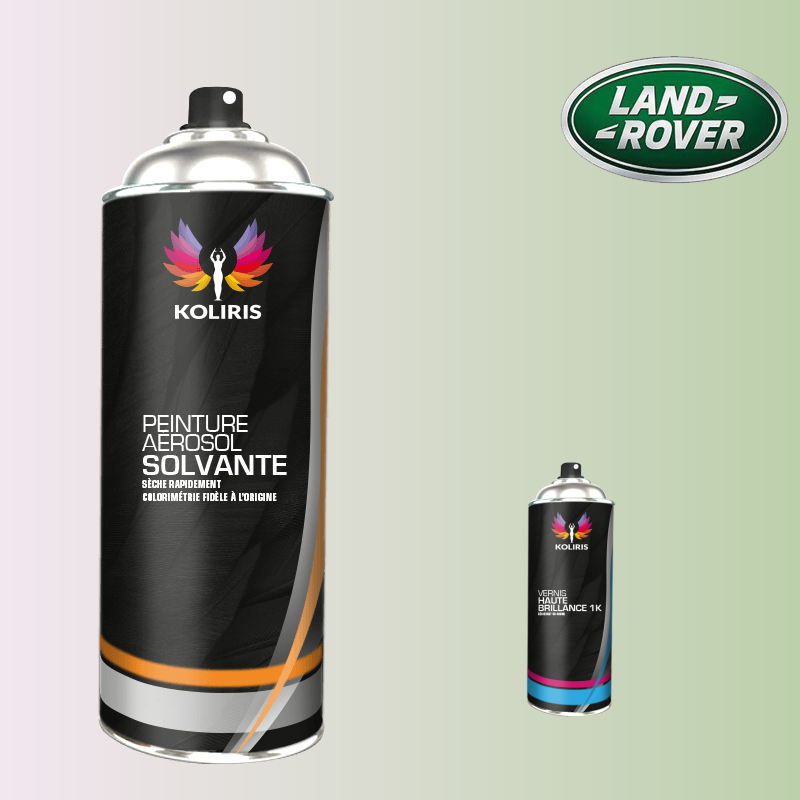 Pack 2 aérosols peinture voiture solvant Landrover 400ml