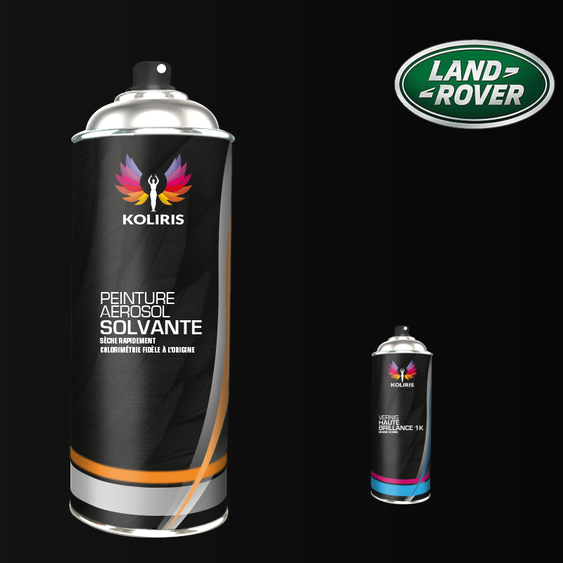 Pack 2 aérosols peinture voiture solvant Landrover 400ml