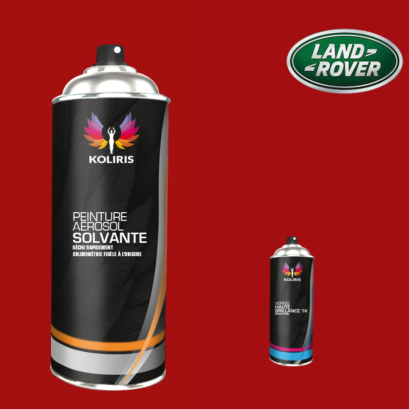 Pack 2 aérosols peinture voiture solvant Landrover 400ml