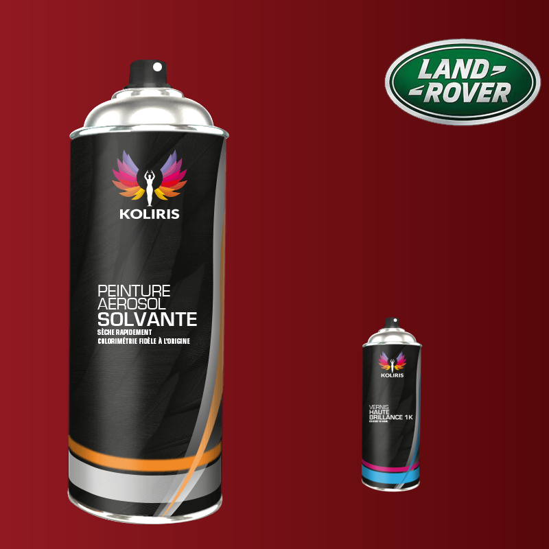 Pack 2 aérosols peinture voiture solvant Landrover 400ml
