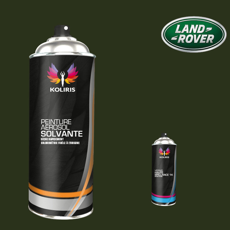 Pack 2 aérosols peinture voiture solvant Landrover 400ml