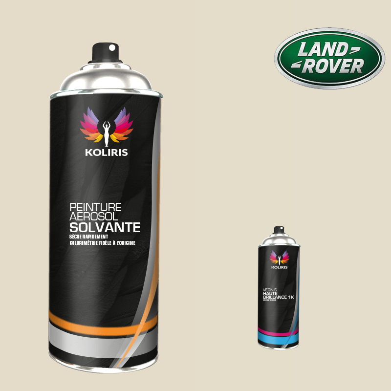 Pack 2 aérosols peinture voiture solvant Landrover 400ml