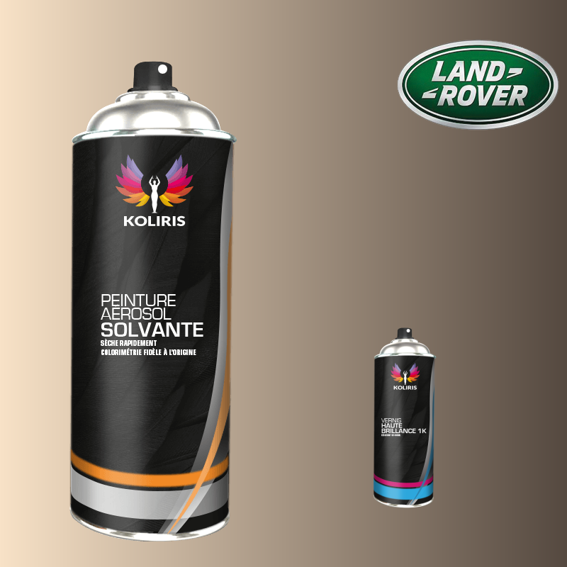 Pack 2 aérosols peinture voiture solvant Landrover 400ml