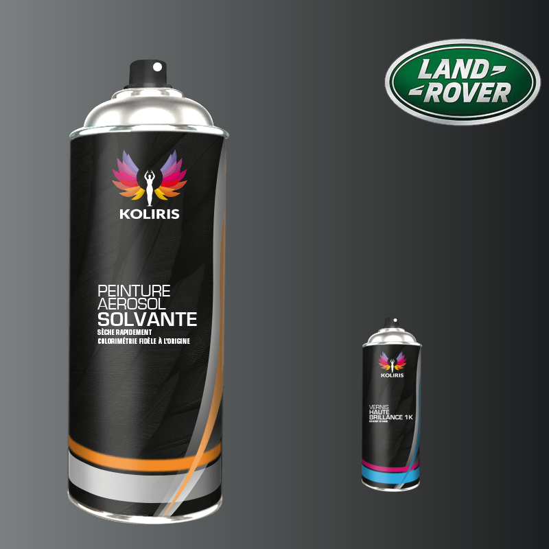 Pack 2 aérosols peinture voiture solvant Landrover 400ml