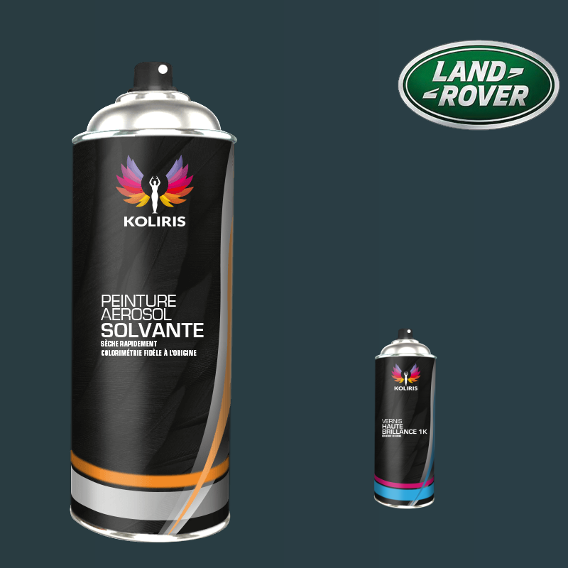 Pack 2 aérosols peinture voiture solvant Landrover 400ml