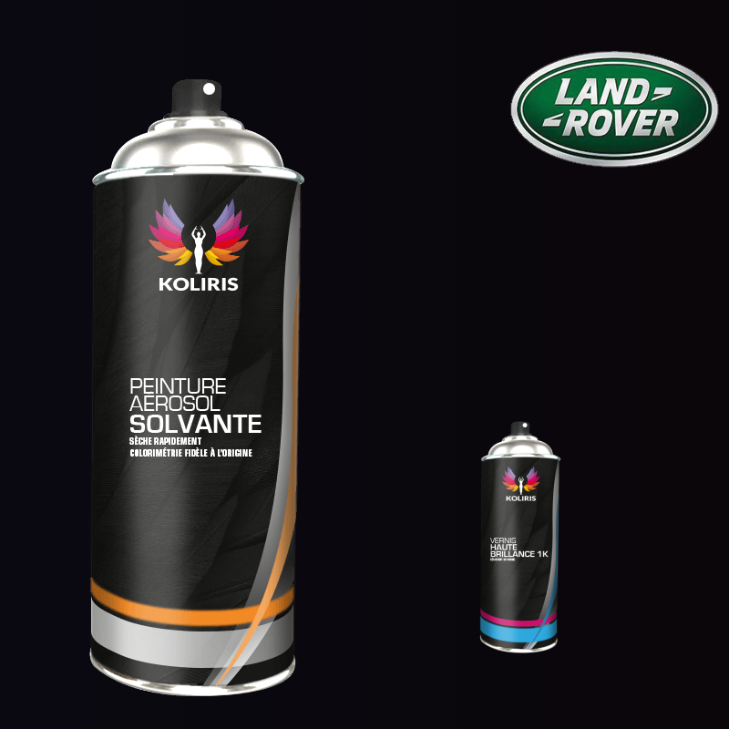 Pack 2 aérosols peinture voiture solvant Landrover 400ml