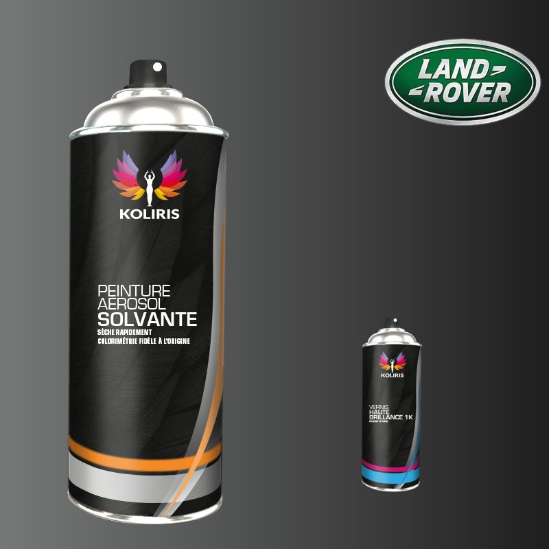 Pack 2 aérosols peinture voiture solvant Landrover 400ml