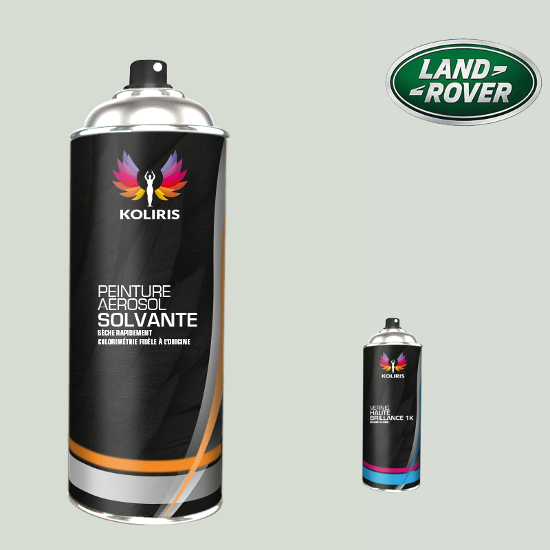 Pack 2 aérosols peinture voiture solvant Landrover 400ml
