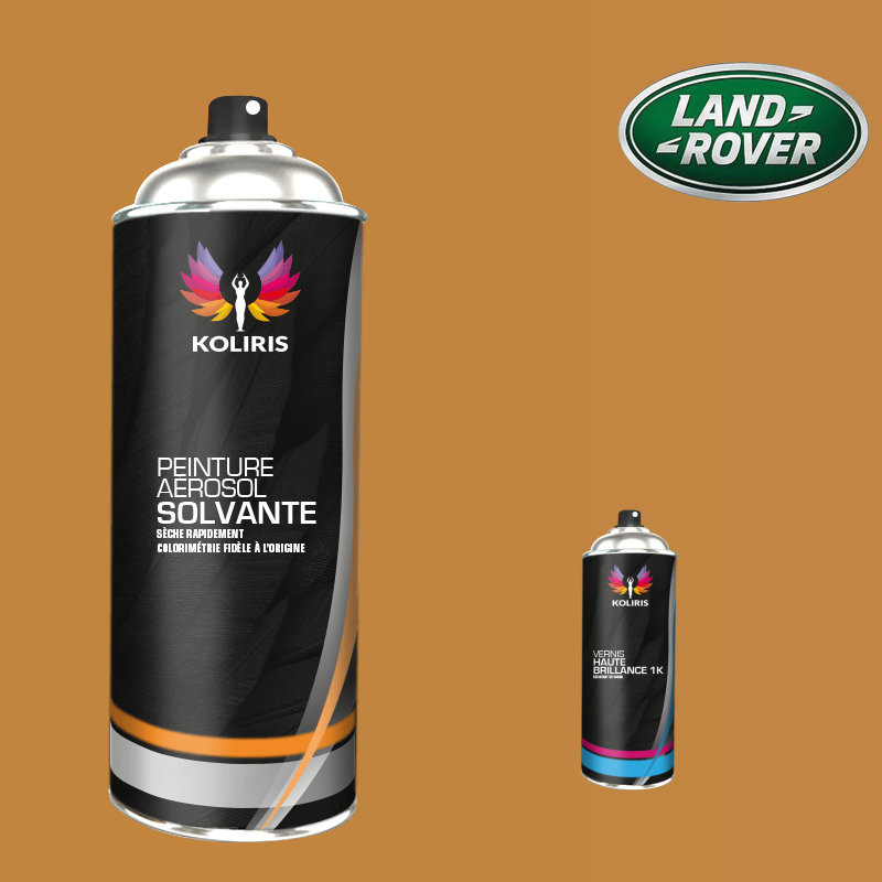 Pack 2 aérosols peinture voiture solvant Landrover 400ml
