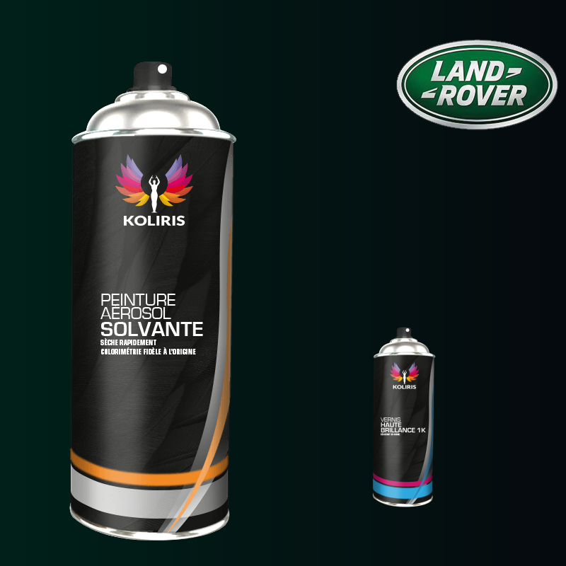 Pack 2 aérosols peinture voiture solvant Landrover 400ml