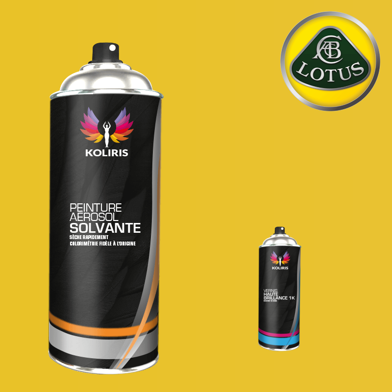 Pack 2 aérosols peinture voiture solvant Lotus
