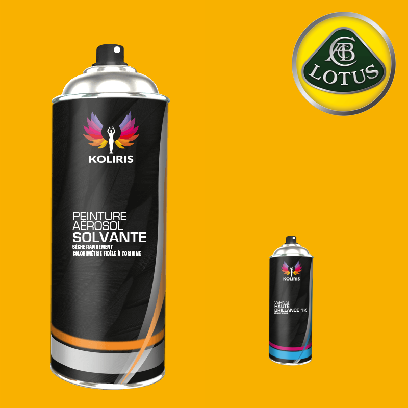 Pack 2 aérosols peinture voiture solvant Lotus
