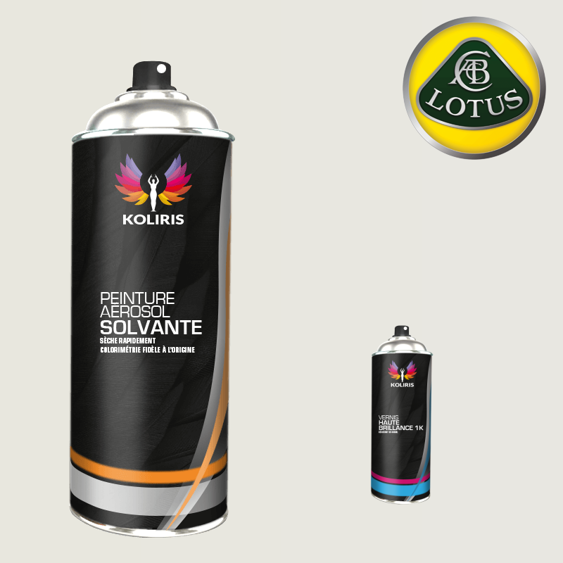 Pack 2 aérosols peinture voiture solvant Lotus
