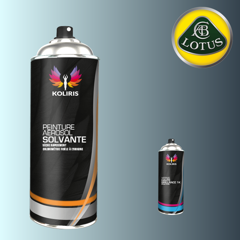 Pack 2 aérosols peinture voiture solvant Lotus