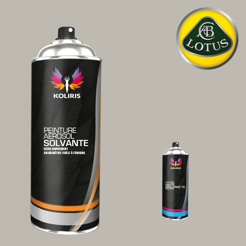 Pack 2 aérosols peinture voiture solvant Lotus