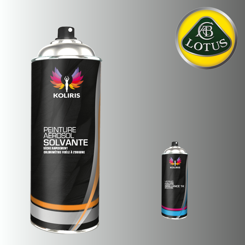 Pack 2 aérosols peinture voiture solvant Lotus