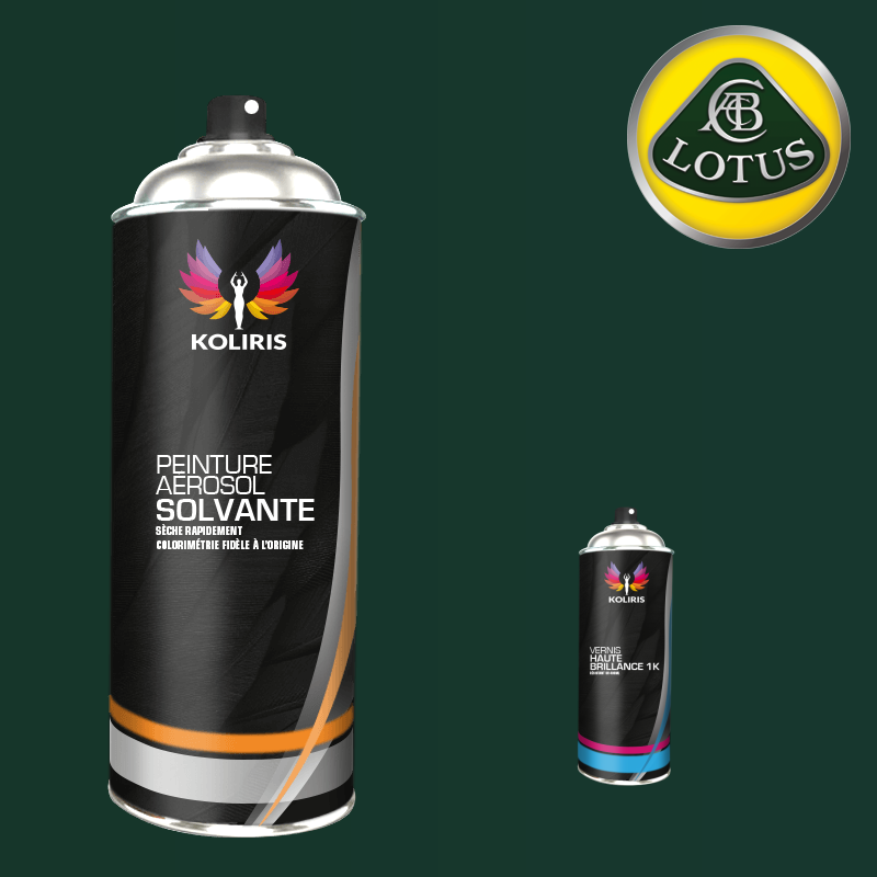 Pack 2 aérosols peinture voiture solvant Lotus